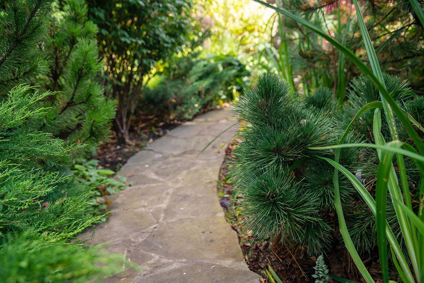 Проект Переделкино